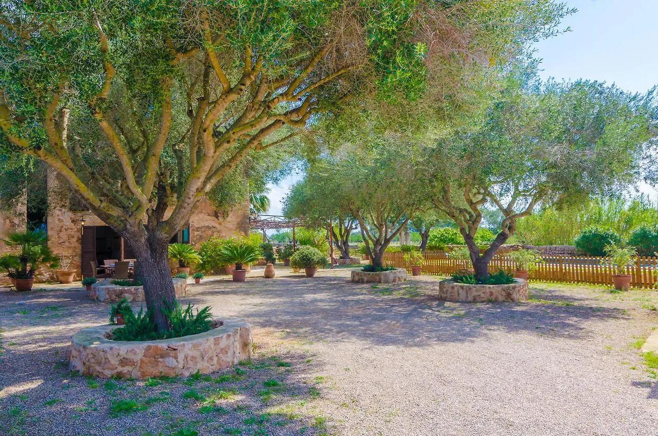 Villa Cortera 1 Llucmajor  Spain